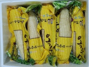 영월 냉동 찰옥수수 20개입/30개입 간편하게 즐기는 영월의 맛 고향의 맛