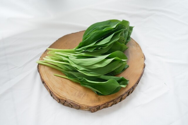 영월 동강애 고향밥상,2026년 봄나물 영특한 산채꾸러미 세트 동강애