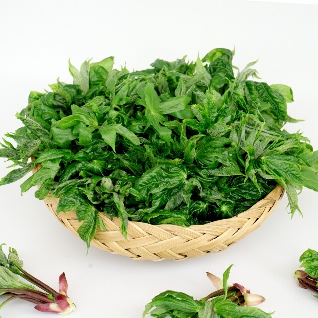 영월 동강애 고향밥상,2026년 봄나물 영특한 산채꾸러미 세트 동강애