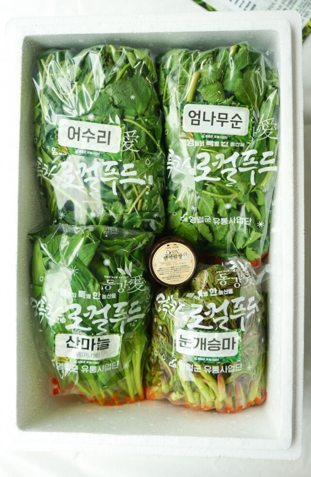 영월 동강애 고향밥상,2026년 봄나물 영특한 산채꾸러미 세트 동강애