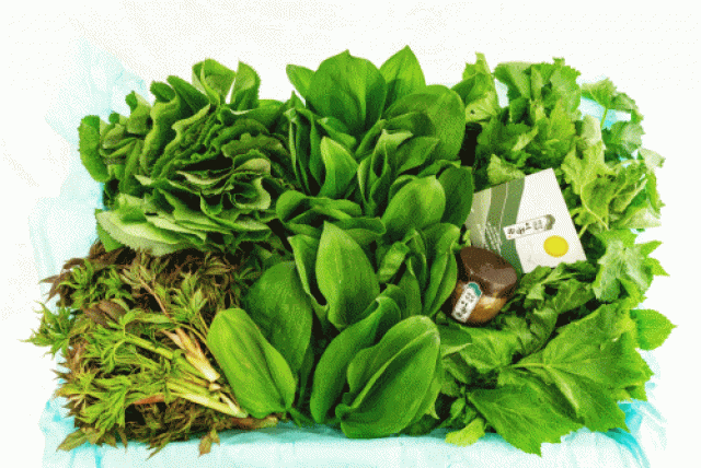 영월 동강애 고향밥상,2026년 봄나물 영특한 산채꾸러미 세트 동강애