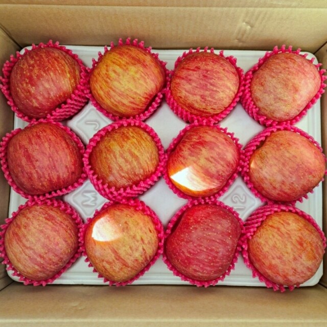 영월 동강애 고향밥상,영특한 영월 사과 3키로 - 부사 12과