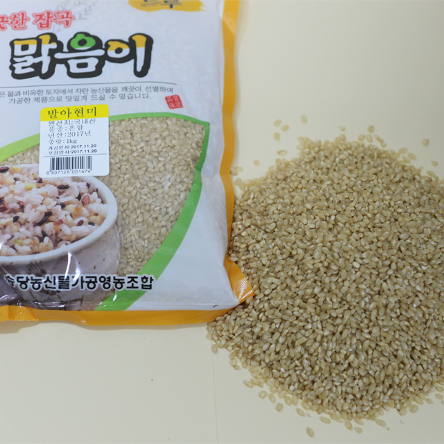 영월 동강애,발아현미1kg