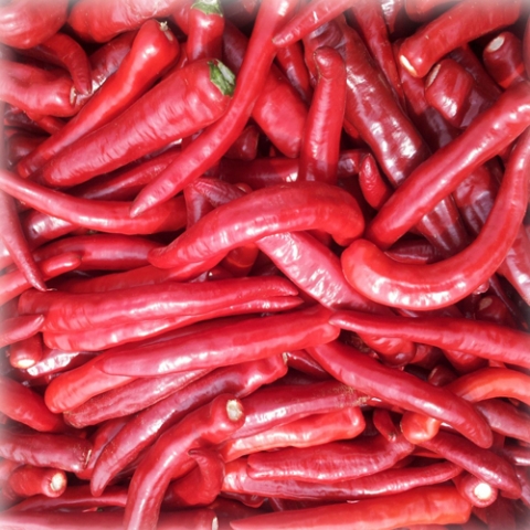 영월 동강애 고향밥상,금수원태양초 6kg(건고추)